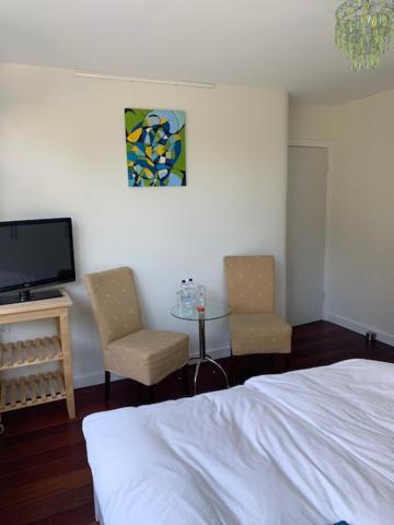 Villa Cosy Central Incl Jacuzzi Near Trainstation, Beach And City Heemstede Exterior foto
