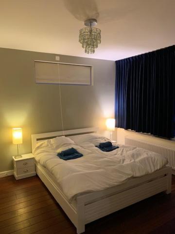 Villa Cosy Central Incl Jacuzzi Near Trainstation, Beach And City Heemstede Exterior foto